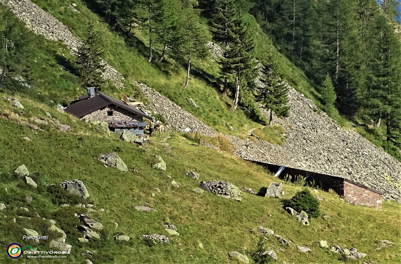 97 Alla Casera Valletto (1625 m).JPG